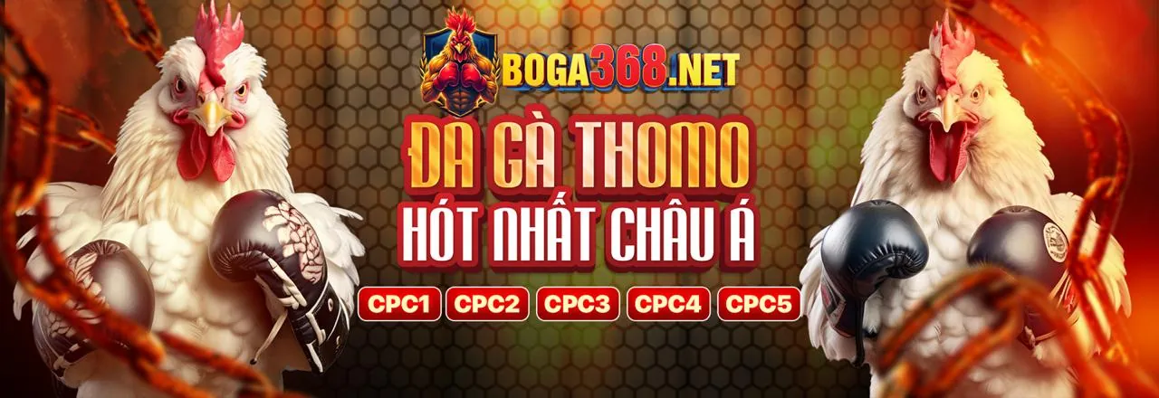 Sứ mệnh và tầm nhìn của Bayvip Code