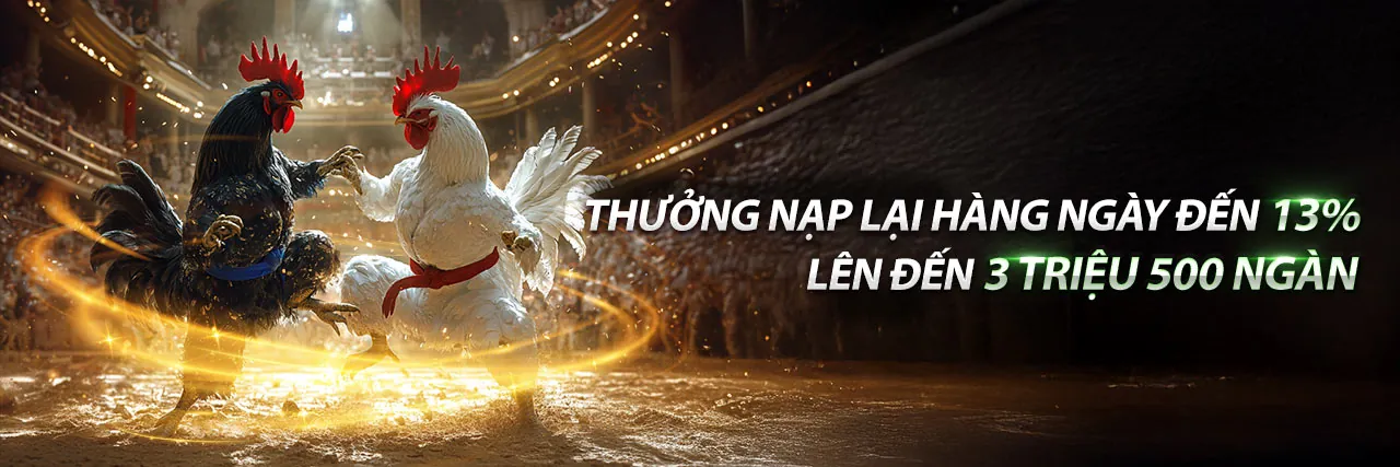 Sòng bạc trực tuyến Bayvip Code 2026 với ưu đãi độc quyền