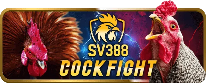 Ưu đãi độc quyền Bayvip Code